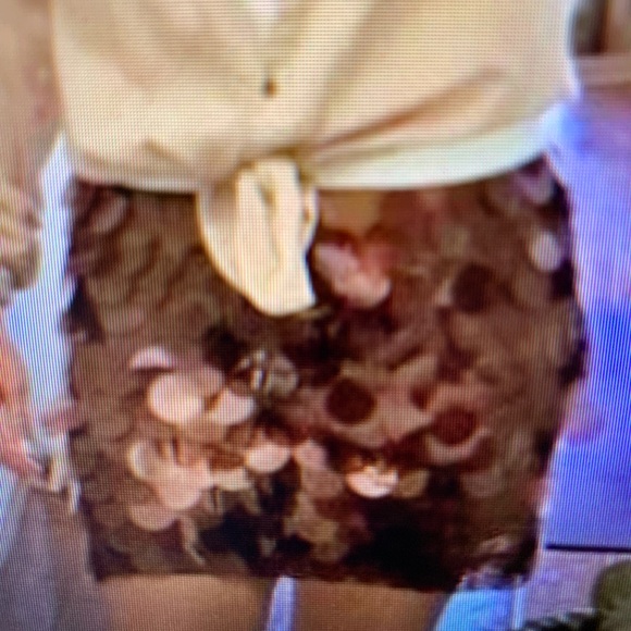 NWT Anthropologie Maeve DISC Sequin ON MESH NETTING Mini Skirt MOCHA BROWN 0 - Picture 2 of 2
